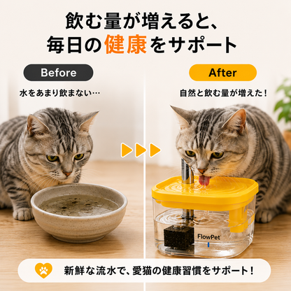 FlowPet 自動給水器 – 夏の水分補給をしっかりサポート